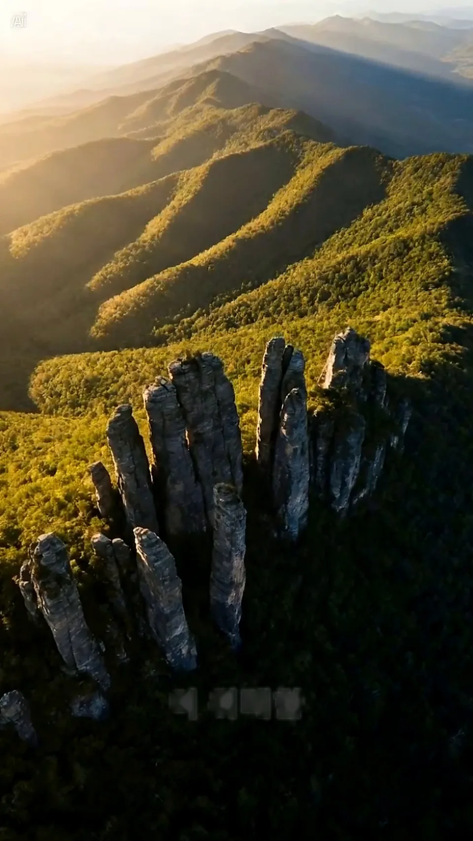 An aerial view of a forested mountain range with prominent rock spires illuminated by sunrise or sunset light