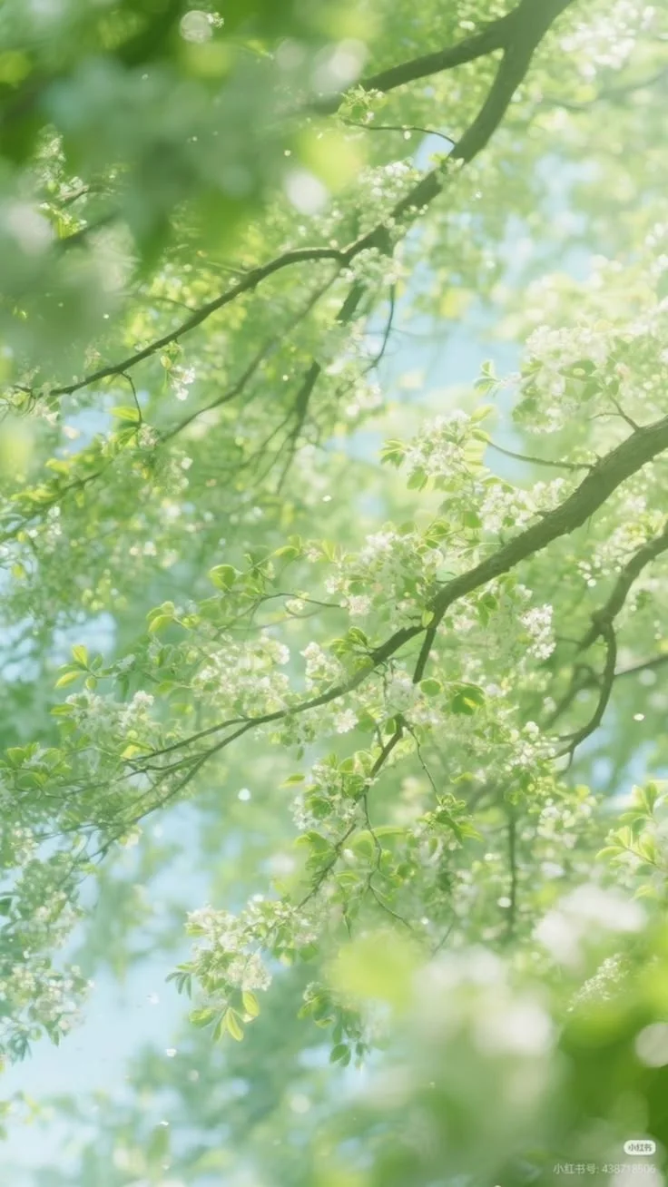Sunlight shines through white flowers and green leaves on tree branches in a spring scene