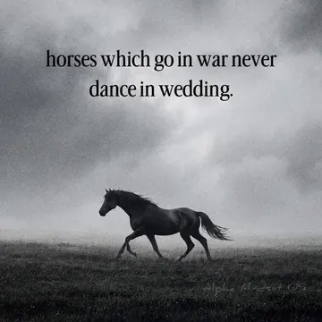 motivational quote