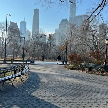 A paved park path with benches and bare trees leading to a city skyline under clear blue sky