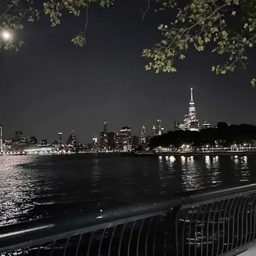 Night view of New York City skyline reflected in water framed by tree branches and railing