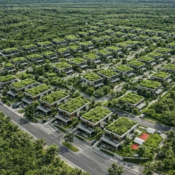 Modern houses with green roofs surrounded by dense tropical forest from above