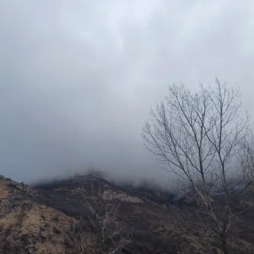 Foggy mountain