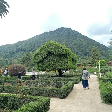 Where Nature Meets the Mountains 🌿⛰️