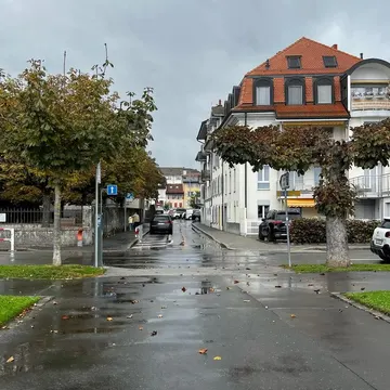 Wet street with fallen leaves and buildings under gray sky