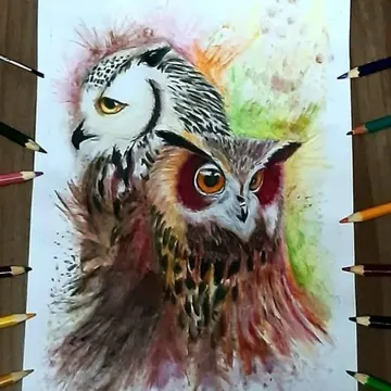 Two owls drawn with watercolor and colored pencils on a sketchbook page