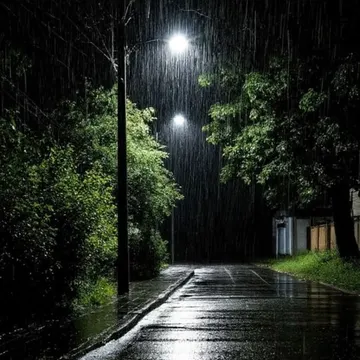 A dark rainy night street lit by streetlights with wet pavement and green trees on both sides